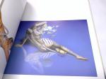 Hajime Sorayama: Torquere Art Book (1998)
