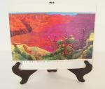 Venice Art Walk '99: David Hockney & Grand Canyon