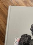 KAWS ‘Companionship in the Age of Loneliness’ 2019 NGV Hardback Book - GOOD