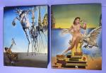 Taschen: Salvador Dali - The Paintings 1908-1989 Volumes 1 & 2 PB No Slipcase