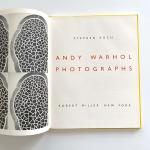 Andy Warhol: Captured Moments by Stephen Koch