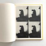 Andy Warhol: Captured Moments by Stephen Koch