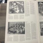 M.C. Escher by Benedikt Taschen Verlag (2 Posters) RARE Posterbook
