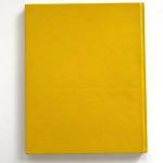 Andy Warhol: Captured Moments by Stephen Koch