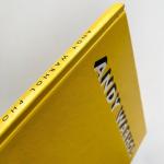 Andy Warhol: Captured Moments by Stephen Koch