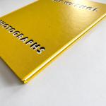 Andy Warhol: Captured Moments by Stephen Koch