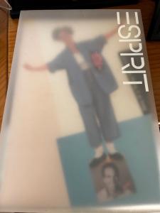 ESPRIT: The Making of an Image by Helie Robertson