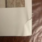 W Magazine Issue 6 2023: Emma Stone & More