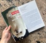 032c Magazine Issue 19: Summer 2010 Edition