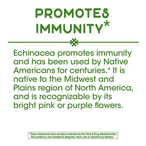 Nature's Way Echinacea Purpurea Capsules, Immune Support