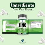 Immune Support Supplements - 120 Vegan Capsules