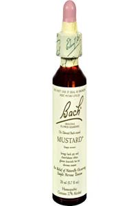 Flower Essence Mustard 20 ML by Bach Flower Essences