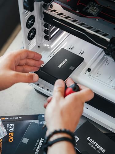 Samsung 870 EVO 1TB SATA III Internal SSD