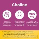 Nature Made Prenatal Vitamins with DHA and Choline