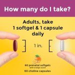 Nature Made Prenatal Vitamins with DHA and Choline