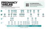 The Essential Illustrated Guide to Healthy Pregnancy