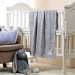 Cozy Fluffy Baby Blanket for Boys and Toddlers