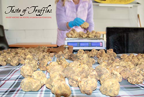 Fresh White Truffles by Taste of Truffles