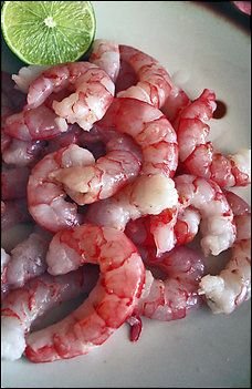 Florida Jumbo Red Shrimp - 6LB