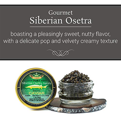 OLMA Siberian Osetra Black Caviar - Medium Grain