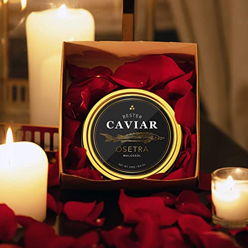 BESTER Premium Black Caviar - 1.76 oz