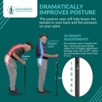 Folding Posture Cane for Seniors