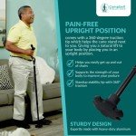 Folding Posture Cane for Seniors