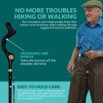 Folding Posture Cane for Seniors