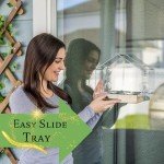 Window Bird Feeder with Strong Suction Cup