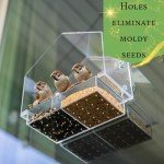 Window Bird Feeder with Strong Suction Cup