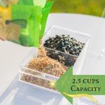 Window Bird Feeder with Strong Suction Cup