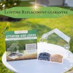 Window Bird Feeder with Strong Suction Cup