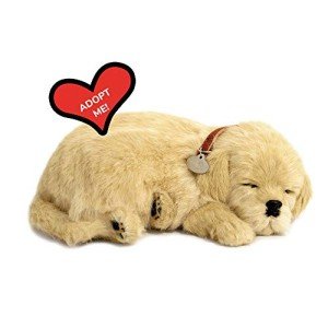 Interactive Golden Retriever Dementia Comfort Companion Pet