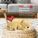 Interactive Golden Retriever Dementia Comfort Companion Pet