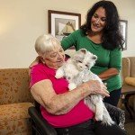 Silver Interactive Cat Companion for Dementia Comfort