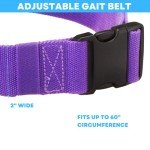 Gait Belt with Reinforced Plastic Squeeze Buckle for Mobility Assistance