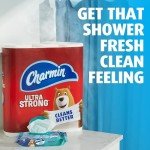 Charmin Flushable Wipes - 160 Count Pack