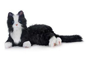 Interactive Black & White Cat Dementia Companion