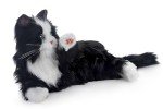 Interactive Black & White Cat Dementia Companion