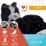 Interactive Black & White Cat Dementia Companion