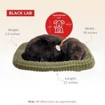 Realistic Black Lab Stuffed Interactive Pet Toy for Dementia Support