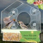 Window Bird Feeder with Strong Suction Cup