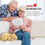 Interactive Golden Retriever Dementia Comfort Companion Pet