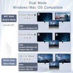 4K DisplayPort to Dual Splitter Adapter