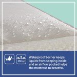 Sealy Cozy Cool Hospital Air Mattress for Patients