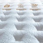 Hybrid Air Mattress for Patient Comfort and Support