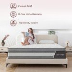 Pressure Relief Hybrid Air Mattress for Patients