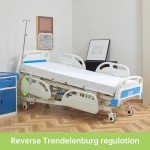 Premium Electric Hospital Bed with Mattress Included