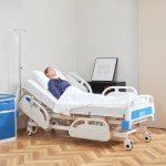 Restisland Electric ICU Bed with Air Mattress