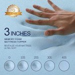 Queen Memory Foam Patient Air Mattress